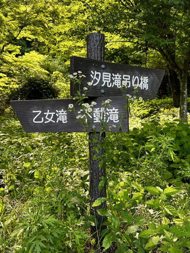 【花貫渓谷】