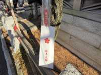 東京 湯島天神 ⛩️📚