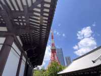 東京 増上寺 🏯🌸