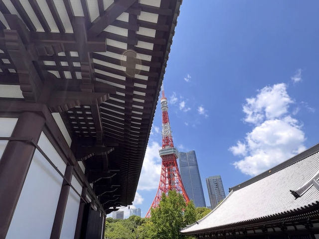 東京 増上寺 🏯🌸