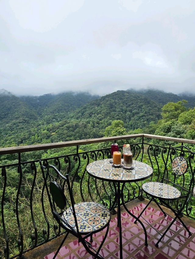 First Valley Coffee Estate | Chiangmai 