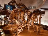🦖 Roarsome Solo Adventure: Fukui Prefectural Dinosaur Museum