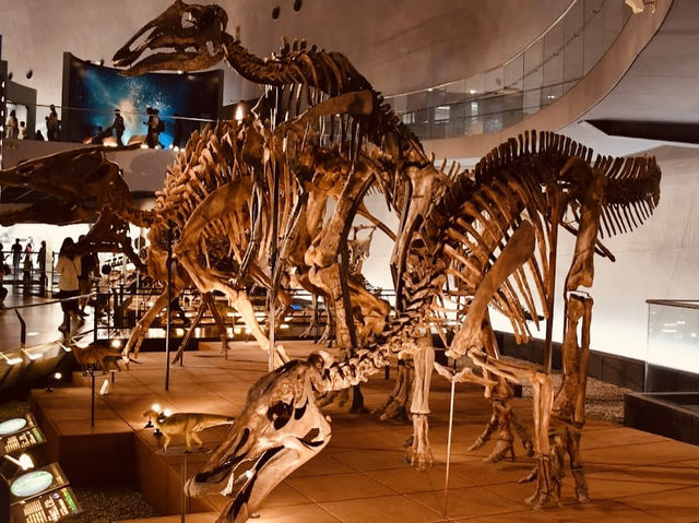 🦖 Roarsome Solo Adventure: Fukui Prefectural Dinosaur Museum
