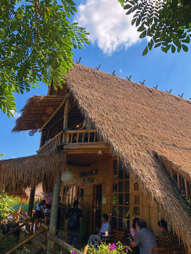 คาเฟ่ SHIRAKAWA-GO ที่สวนผึ้ง