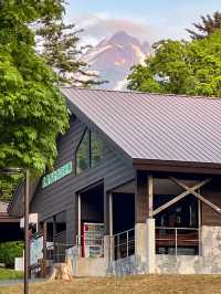 【北海道利尻島】北の最果て利尻山⛰️