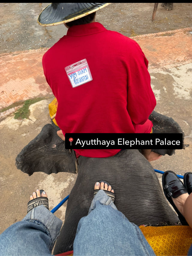 1 Day Trip ขี่ล้างที่อยุธย๊าาาา🐘🏞️