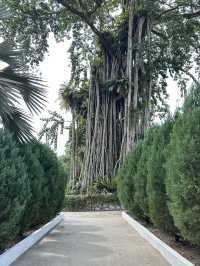 Leaves, Legends & Life Advice – The Herb Garden Experience