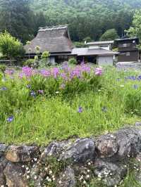 美山合掌村～很有特色的建築～牛奶餅乾必買