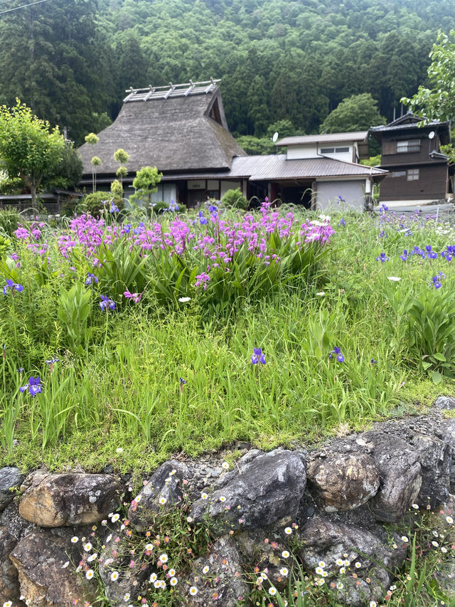 美山合掌村～很有特色的建築～牛奶餅乾必買