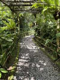Sip & See at Bali Cat Poo Chino