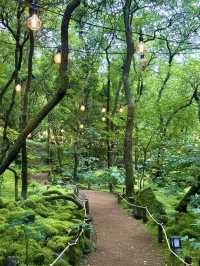 Jade Garden Natural Arboretum – A Touch of Europe Near Seoul  