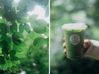 GOODFARM - สวนผักกูดฮิมม่อน น่าน