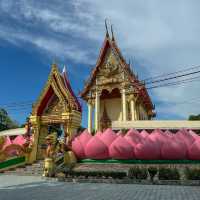 องค์ใหญ่ที่สุด🤩พระพุทธรูปที่นี่ วัดม่วง
