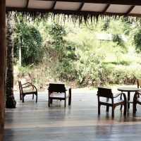 🌿 หลงเขา…แล้วไม่อยากกลับ – หลงเขาคาเฟ่