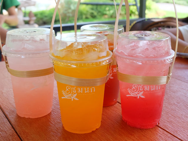 ชมนก Cafe & Restaurant🦜 คาเฟ่สำหรับคนรักนก
