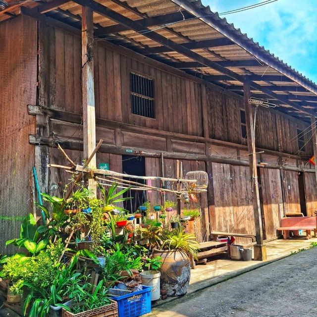 ชมวิวที่ประตูมหาสมุทรในหมู่บ้านไม้เคี่ยมโบราณ