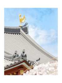 宇治 – 平等院鳳凰堂