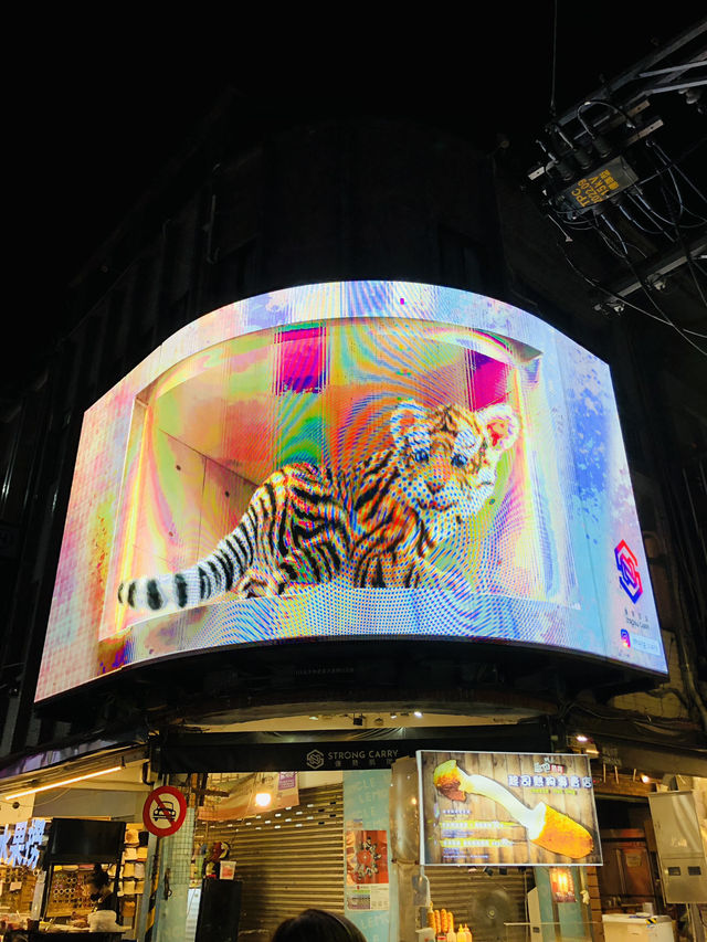 燈光閃閃五花十色的夜市❤️❤️❤️