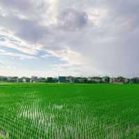 豆田町🌾絕美秘境 