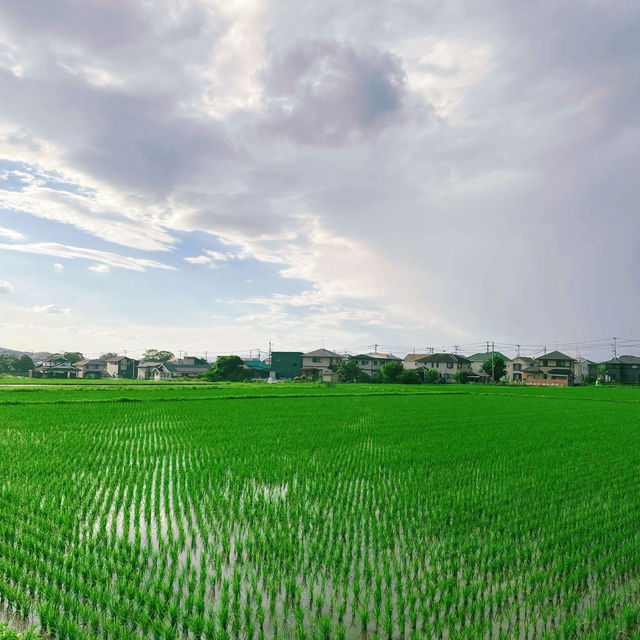 豆田町🌾絕美秘境 