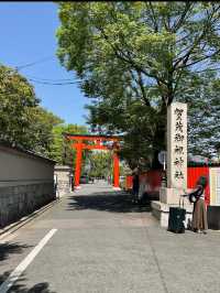 【下鴨神社】森と水に包まれる聖地🌿みたらし団子の発祥地で心清める旅