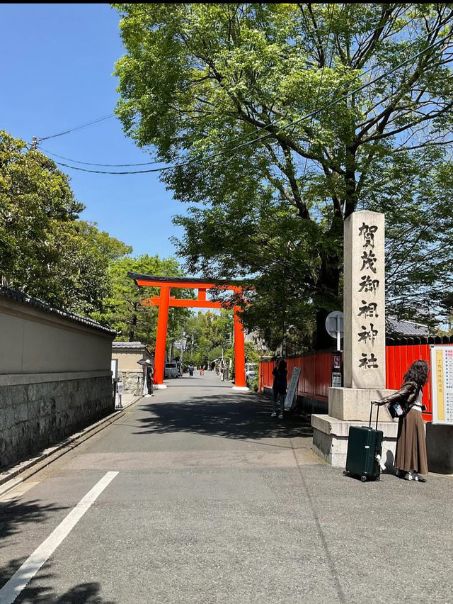【下鴨神社】森と水に包まれる聖地🌿みたらし団子の発祥地で心清める旅
