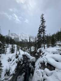 무더위를 이겨내기! 여름에 다시보는 겨울의 BANFF 🏔️