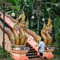 วัดงามเมืองปัว