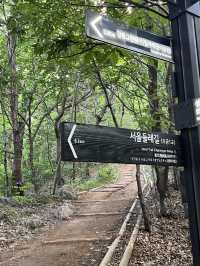 서울 둘레길 걸어보기