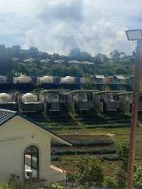 係清邁其中一件想做嘅事，住係山中嘅帳篷🏕️