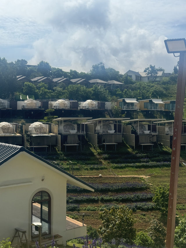 係清邁其中一件想做嘅事，住係山中嘅帳篷🏕️