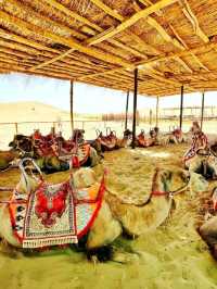 Taklamakan Desert Is Unreal
