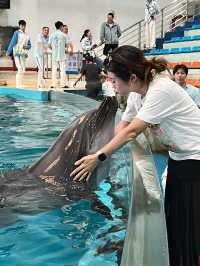✨Recommended - Must Visit in Changsha 🩵🐬✨