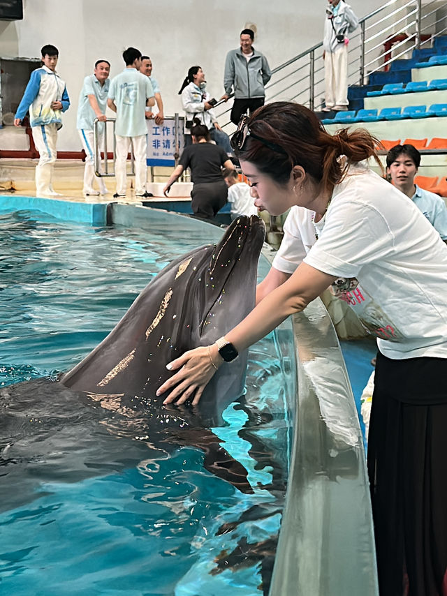 ✨Recommended - Must Visit in Changsha 🩵🐬✨