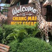 NIGHT SAFARI จ.เชียงใหม่