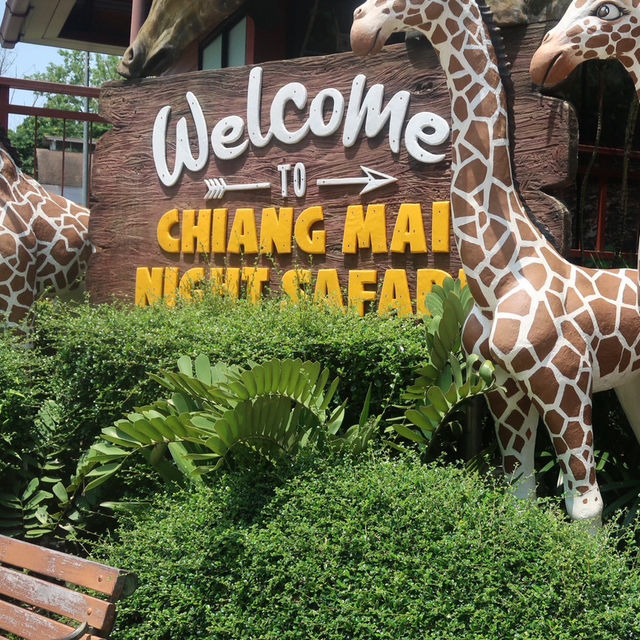 NIGHT SAFARI จ.เชียงใหม่