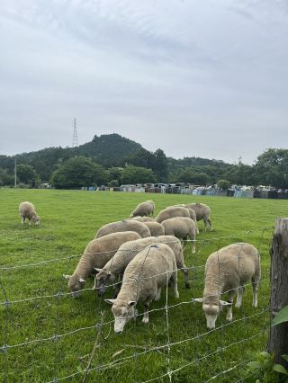 Free Admission Spacious Farm in Kanagawa