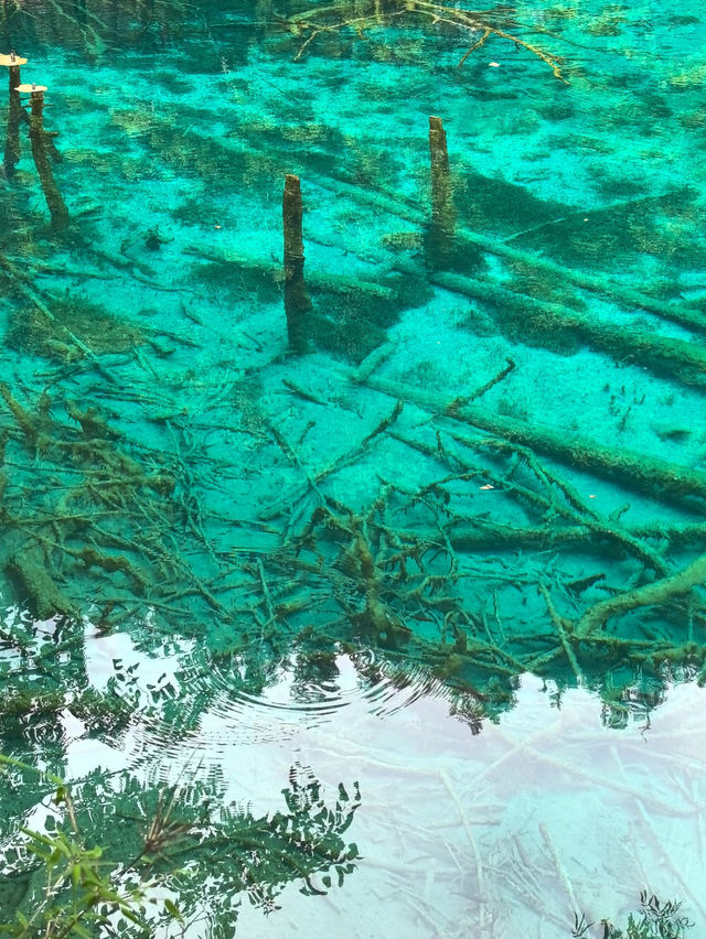 📍Jiuzhaigou — A Fairytale Hidden in the Mountains