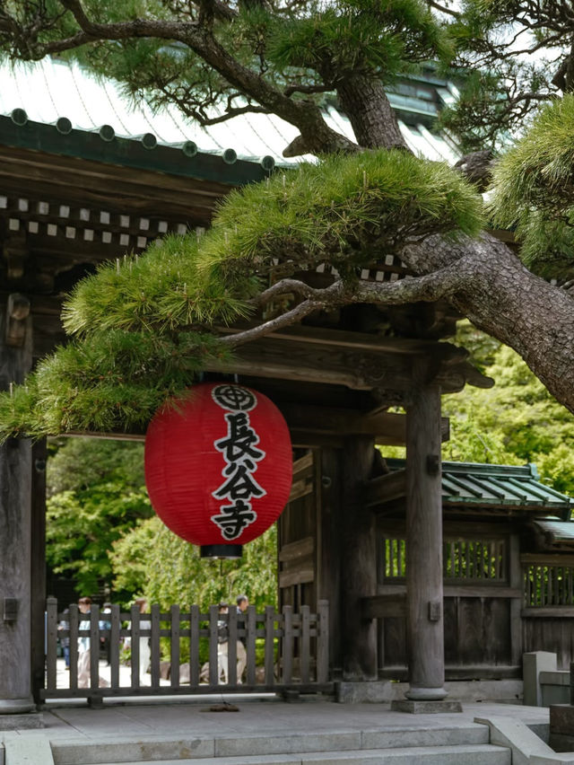 🇯🇵 Kamakura Day Trip Under RM100!