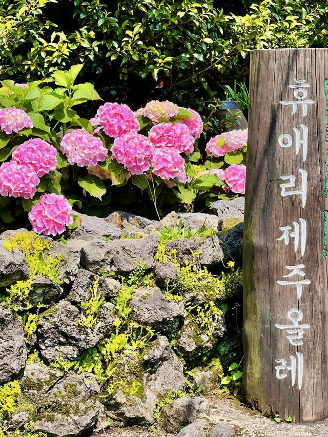 An Accessible Walk Blending Nature, History, and Hidden Gems