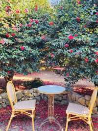 More Than Just Flowers: A Charming Cafe Experience