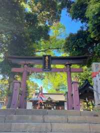 【千葉】むすびの神様に会いに行こう!!
