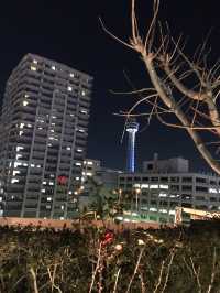 🌆昼は港町カフェでほっと一息、夜は異国の灯りに包まれて──横浜元町&中華街 春節の一日