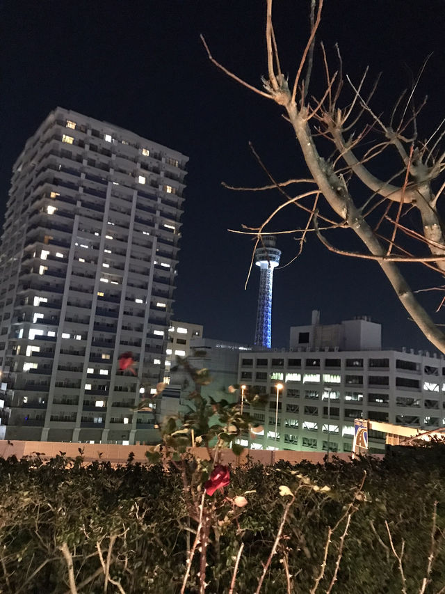 🌆昼は港町カフェでほっと一息、夜は異国の灯りに包まれて──横浜元町&中華街 春節の一日 🌆昼は港町カフェでほっと一息、夜は異国の灯りに包まれて──横浜元町&中華街 春節の一日
