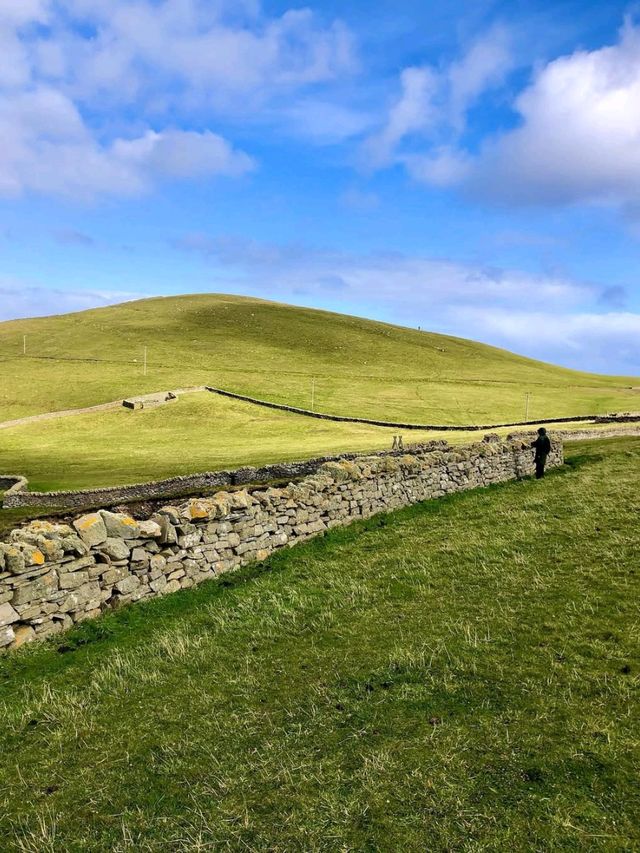 Clifftop Views and Puffin Spotting at Sumburgh Head