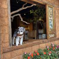 The Charm of the Quieter Side of Lijiang
