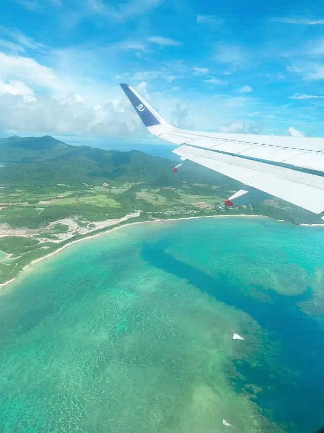 Ishigaki Island One-Day Getaway: A Compact Blue Paradise!