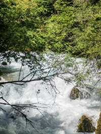 Fragile Beauty: The Magic of Pearl Shoal Waterfall