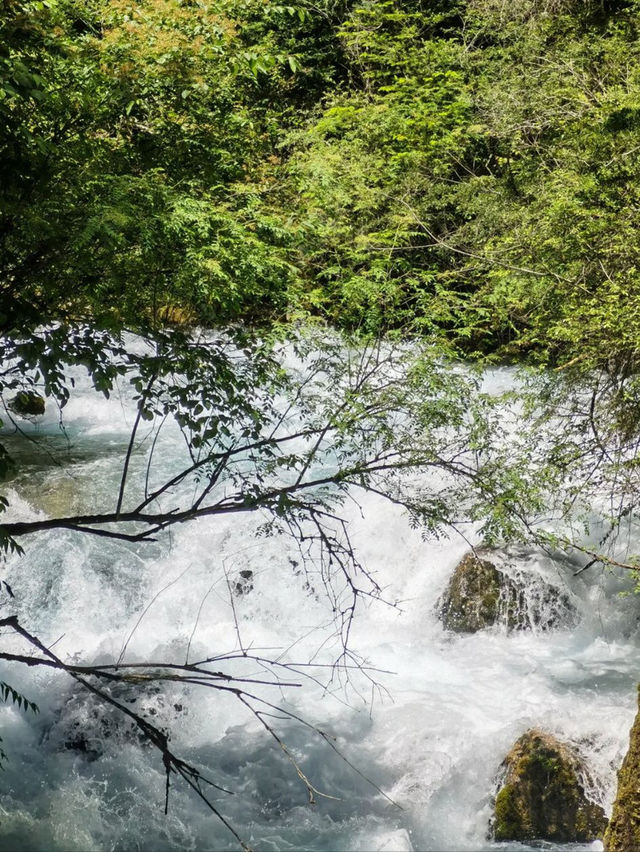 Fragile Beauty: The Magic of Pearl Shoal Waterfall