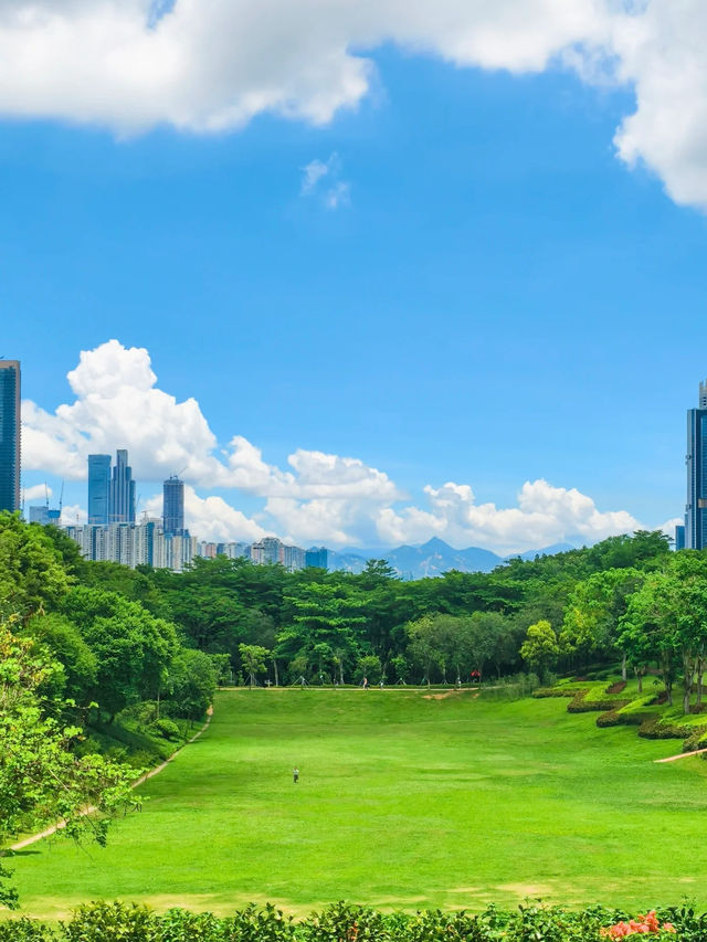 ☀️ A Breezy Green Escape in the City